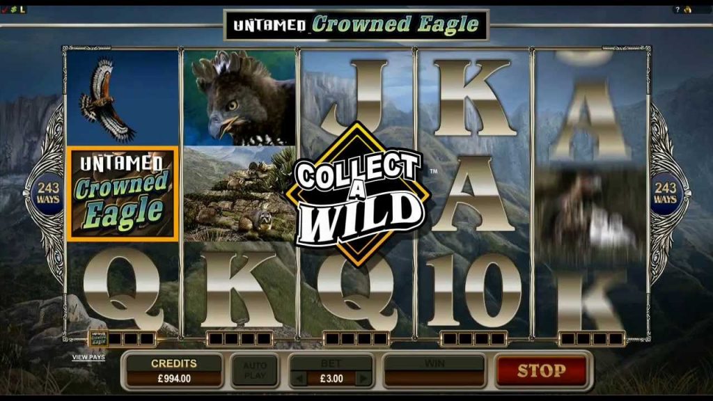 Untamed Crown Eagle Slot fun88 rewards slot machine 2