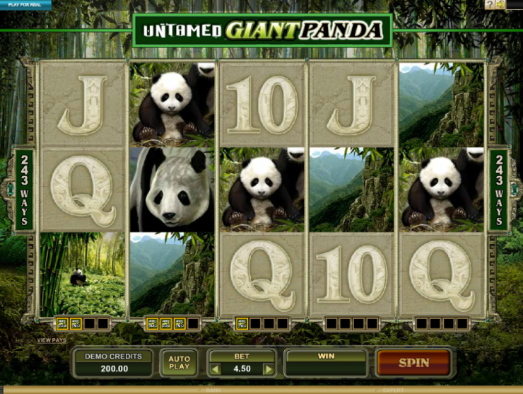 Untamed Giant Panda Slots fun88 slot machine bonus reward 2