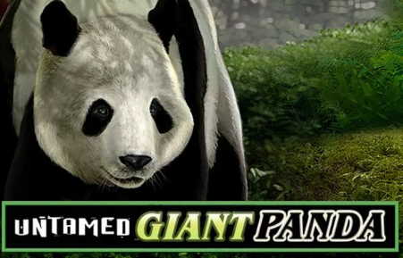 Untamed Giant Panda Slots fun88 slot machine bonus reward